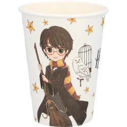 Grande Party Box Harry Potter. n1