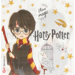 Party Box Harry Potter. n2