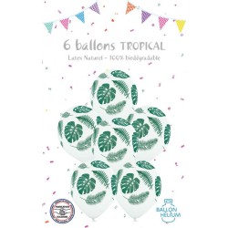 6 palloncini tropicali. n1