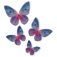 4 farfalle blu/rosa - Azyme
