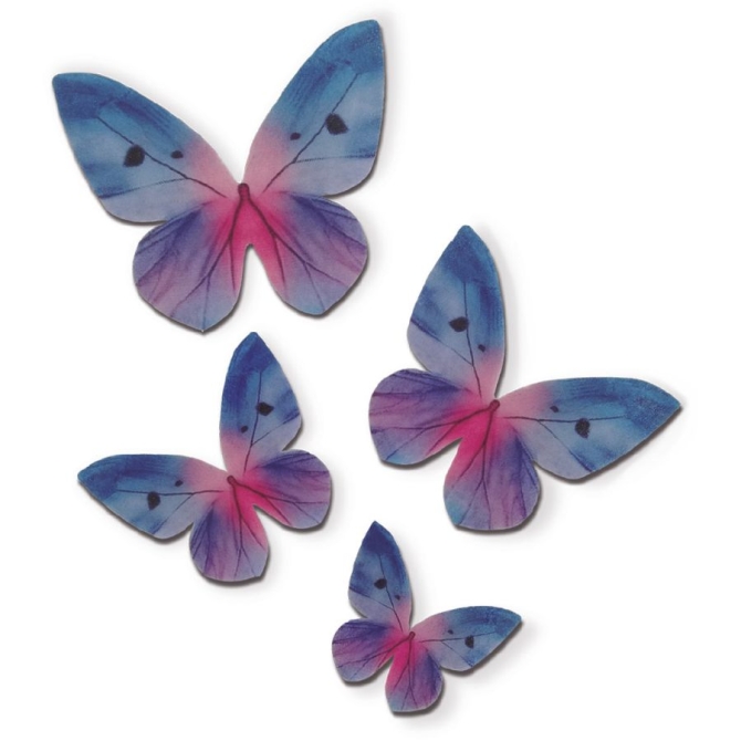 4 farfalle blu / rosa - Azyme 