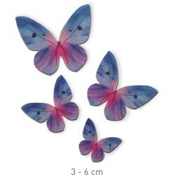 4 farfalle blu / rosa - Azyme. n1