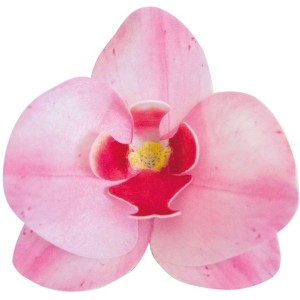10 Orchidee Rosa 8,5 x 7,5 cm - Azyme