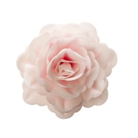 Rosa rosa gigante  12,5 cm - Azzimato