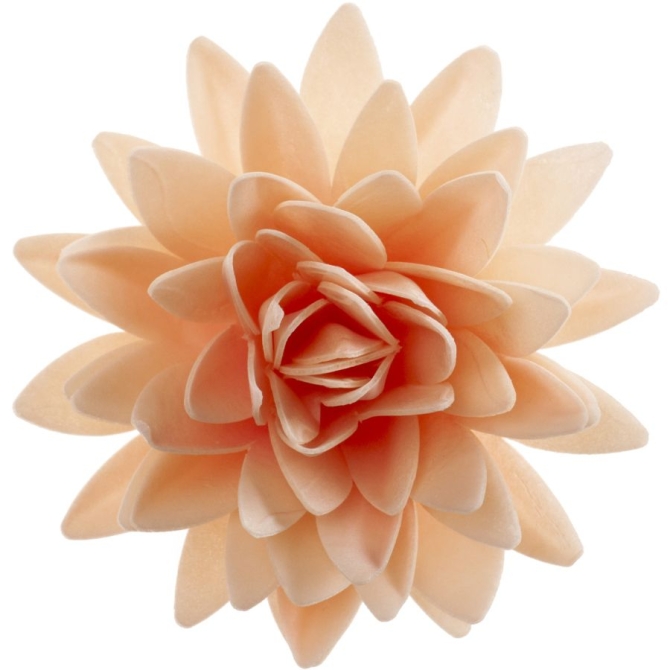 Fleur d Automne Gante Pastel  12, 5 cm - Azyme 