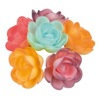 4 rose piccole (4 cm) Azyme - Sfumate