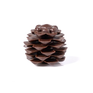 1 Pigna (2,8 cm) - Cioccolato Fondente